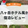 風かアイキャッチ