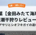 潮干狩り　アイキャッチ