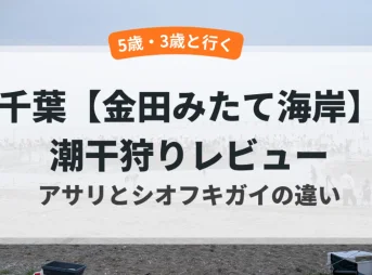 潮干狩り アイキャッチ