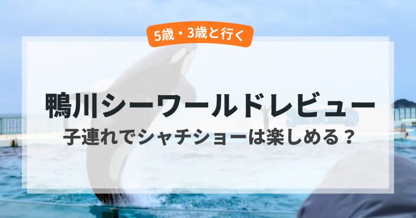 シャチショーアイキャッチ