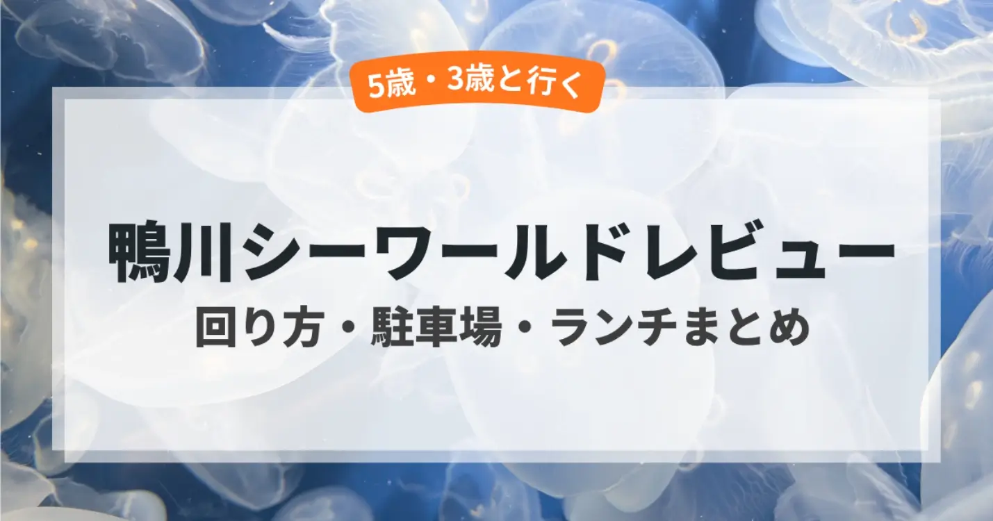 シャチショーアイキャッチ